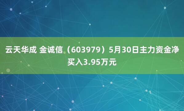 云天华成 金诚信（603979）5月30日主力资金净买入3.95万元