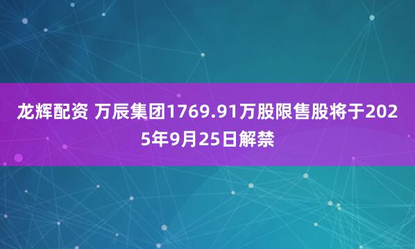 龙辉配资 万辰集团1769.91万股限售股将于2025年9月25日解禁