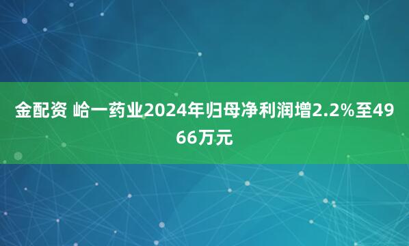 金配资 峆一药业2024年归母净利润增2.2%至4966万元