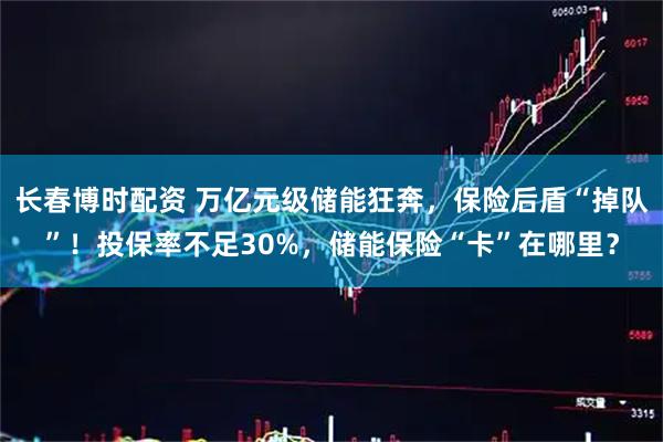 长春博时配资 万亿元级储能狂奔，保险后盾“掉队”！投保率不足30%，储能保险“卡”在哪里？