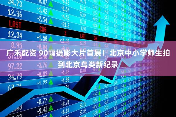 广禾配资 90幅摄影大片首展！北京中小学师生拍到北京鸟类新纪录